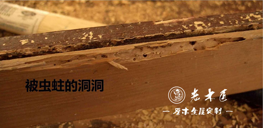 實(shí)木家具蛀蟲