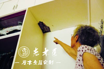 實(shí)木家具蛀蟲