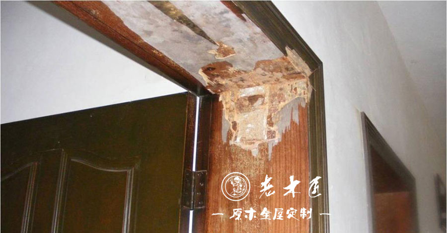 實(shí)木家具蛀蟲