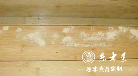 實(shí)木家具蛀蟲