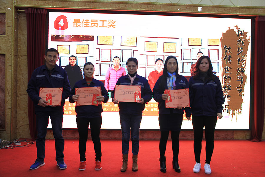 2017優(yōu)秀員工表彰