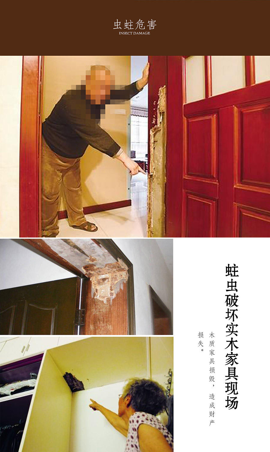 老木匠原木防蟲蛀工藝