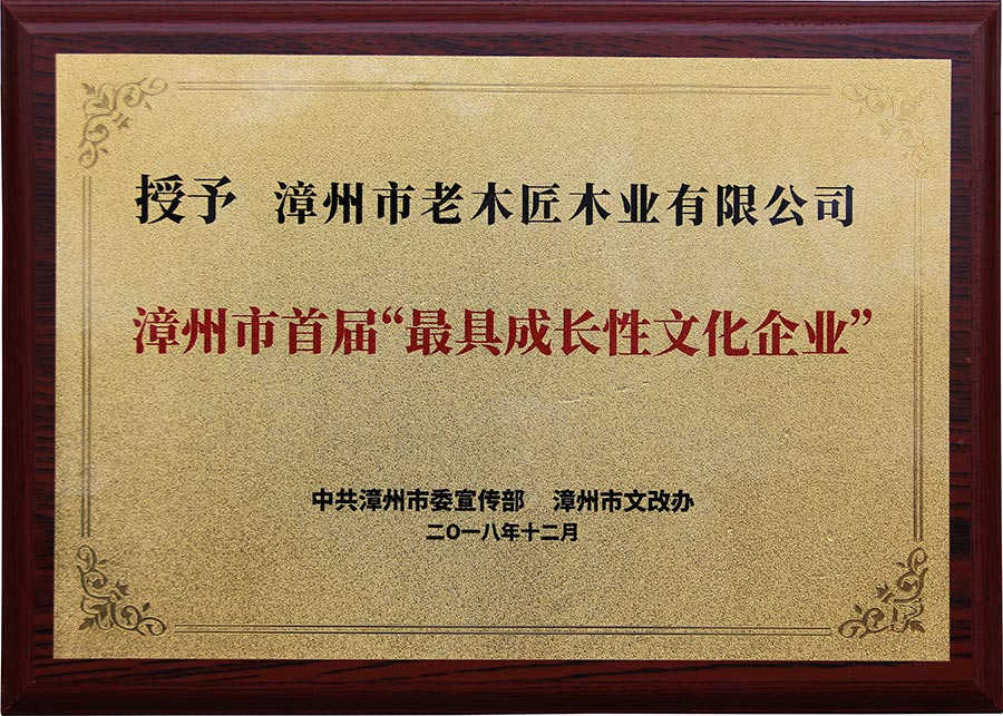 最具成長性文化企業(yè)