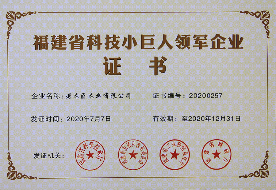 福建省科技小巨人領(lǐng)軍企業(yè)